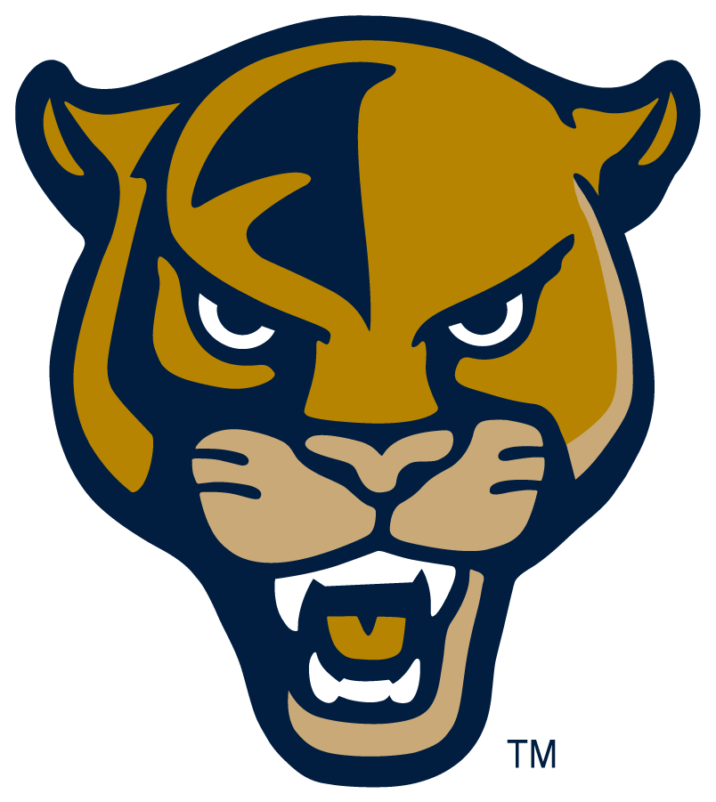 FIU Panthers 2016-Pres Secondary Logo v2 diy iron on heat transfer